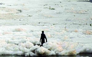 Yamuna pollution HC ruling