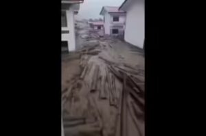 Drifting Bhutan Timber Logs on River Torsa