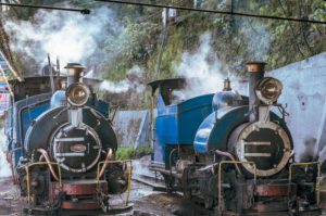 Darjeeling Himalayan Railway Toy Train Resumes