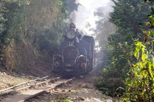 Darjeeling Himalayan Railway Toy Train Resumes
