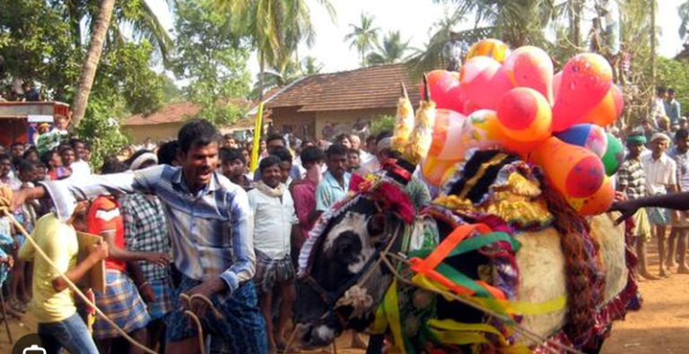 3 Lives Lost in Kobri Hori During Deepavali in Haveri: Tragic Chaos