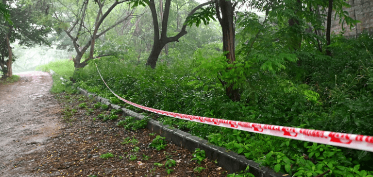 150-Year-Old Lalbagh Trees at Risk? Karnataka HC Raises Shocking Alarm Over Tunnel Road Project