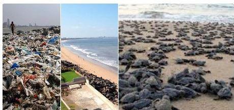 Mumbai Citizens Unite: Massive Juhu Beach Cleanup Removes Nearly Two Tonnes of Plastic Waste