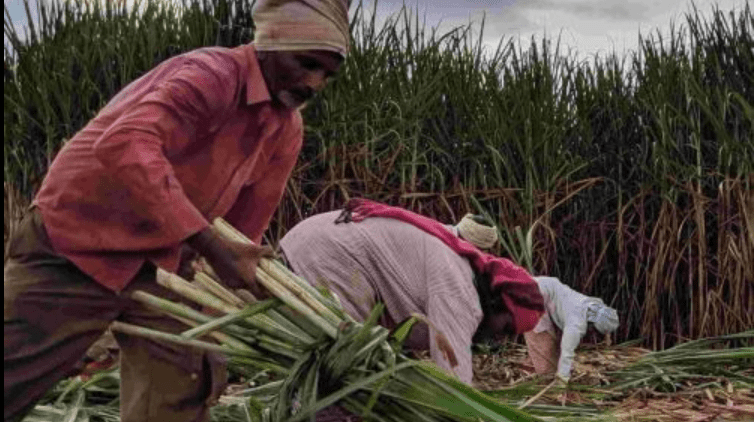 7 Powerful Moments as Karnataka Raises Sugarcane FRP
