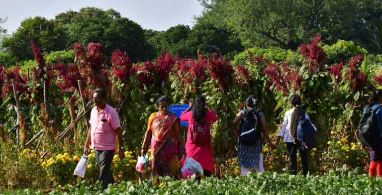 UAS-B Announces Krishi Mela in Bengaluru: 4 Inspiring Days of Growth