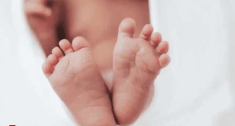 2 Women Arrested for Attempting to Heartbreaking Abduct Newborn from Hospital