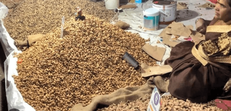 105-Tonne Reckoning: Bengaluru’s Sentimental Battle With Waste After the Iconic Kadlekai Parishe