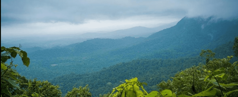 Centre Blocks Quarry Projects in the Western Ghats: 7 Powerful Hopeful Moves