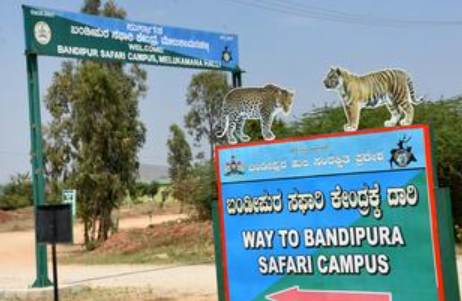 9 Bold Protests as Farmers Oppose Safari Revival in Bandipur and Nagarahole