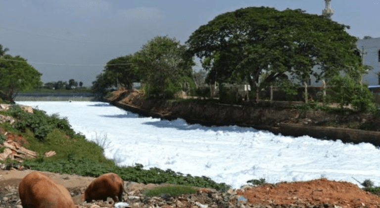 Doddagubbi, Toxic Lake Disaster Sparks Emotional Outrage: 48-hour Shock