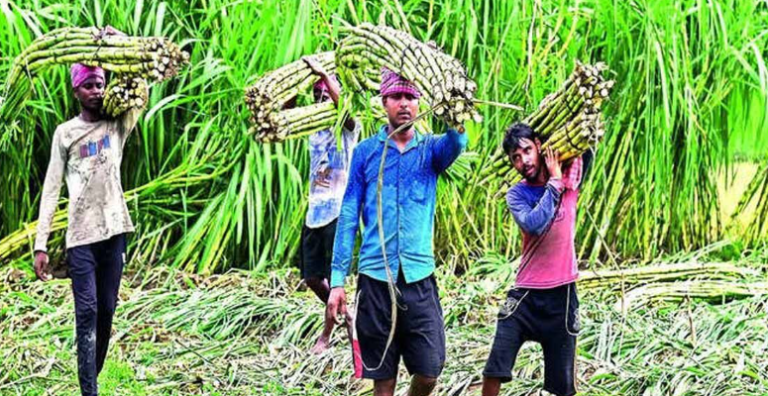 ₹100 Crores of Silence: Farmers Voice Bold Emotional Outcry Over Unequal Sugarcane Pricing