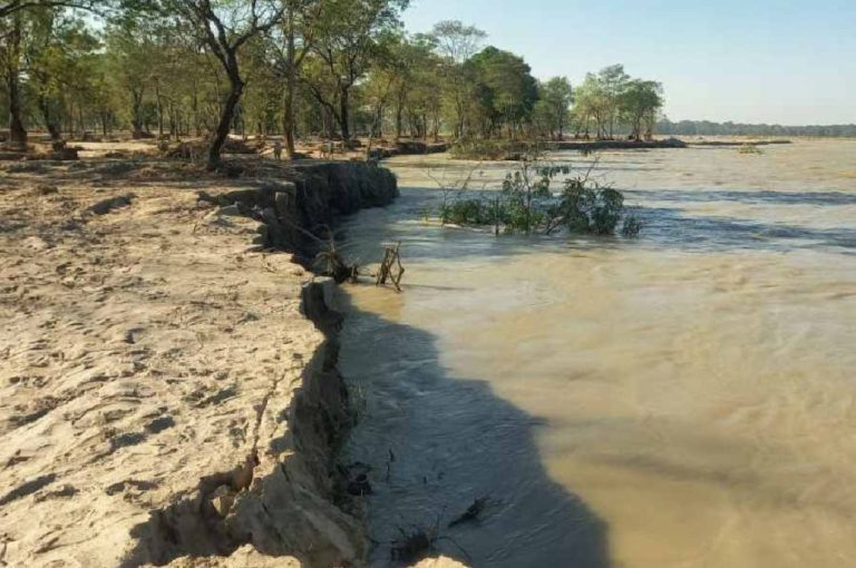 Tea Garden Shutdown Threat 2025: Massive Silt Loss, Worker Crisis, Government Intervention Needs, and Future of Bengal’s Tea Industry Tea Garden Shutdown Threat 2025: Massive Silt Loss, Worker Crisis, Government Intervention Needs, and Future of Bengal’s Tea Industry