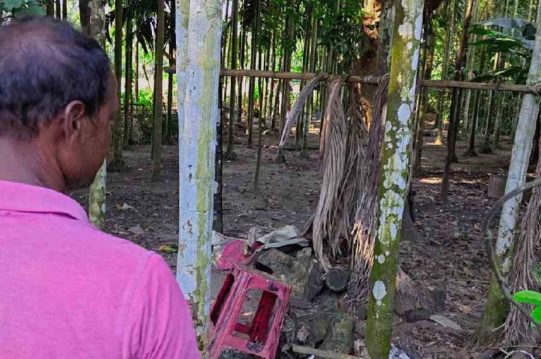 Bengal BLO Deaths SIR Workload App Failures 2025: Tragic Losses, Hurried Electoral Roll Process, Governance Challenges, and Policy Reform Needs in West Bengal