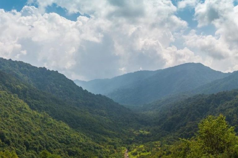 Drones to Surveil Hill Forests and Boost Wildlife Protection in North Bengal 2025: Technology in Conservation, Governance Challenges, Community Participation, Tourism Implications, and Policy Reform Needs in West Bengal