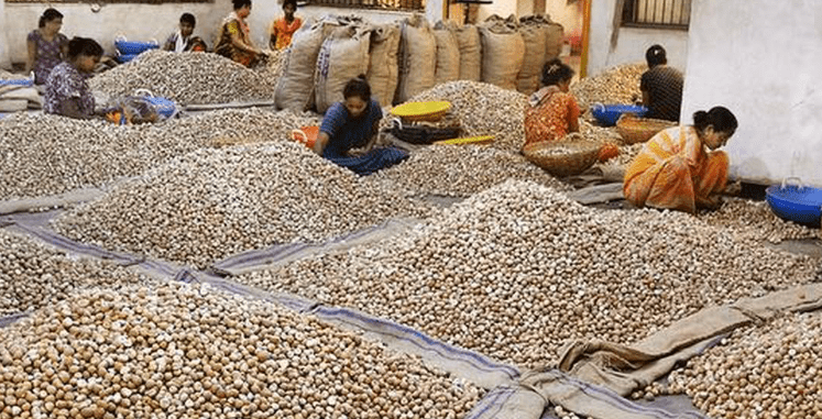 Shivamogga MP B.Y. Raghavendra Highlights 1 Plight of Areca Growers in Parliament, Seeks Centre’s Intervention