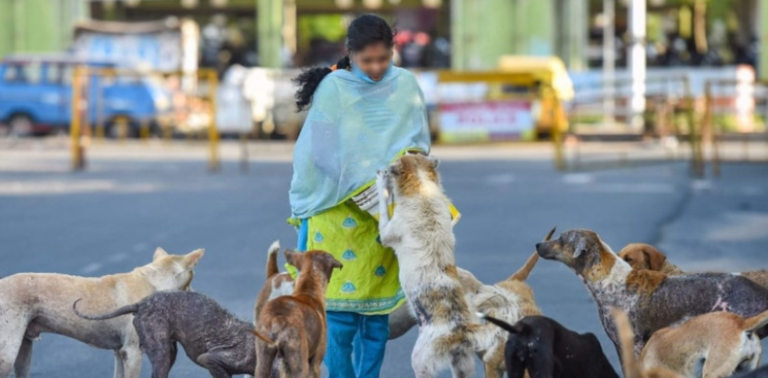 Students and Animal Welfare Groups Push for Statewide ABC Model for Stray Dog Management: Urgent 4 Plea