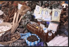 Traditional Medicines of India Gain Global Recognition Through Strategic International Engagements: 2025