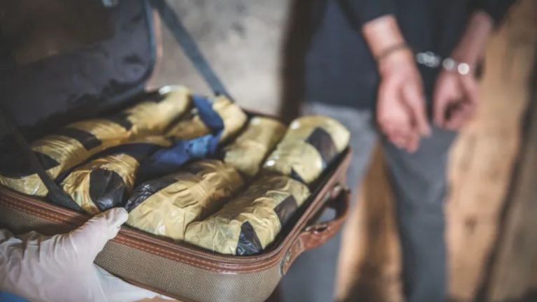 IGI Airport Marijuana Smuggling: Shocking Rs.48 Crore Bust Leads to 6 Arrests