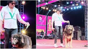 Indian dog enthusiast S Sathish and the Rs 47 Crore Reality Behind the World’s Costliest Wolfdog