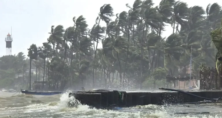 Cyclone Ditwah: Devastating Impact Claims 3 Lives in Tamil Nadu