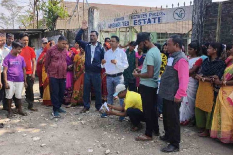 Bengal Tea Garden Workers Protest Over Contract Violations