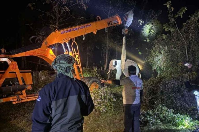 Jalpaiguri Elephant Rescue Chaos 2026 – Detailed Analysis of Stray Calf Incident, Human‑Wildlife Conflict, and Governance Lessons for Bengal