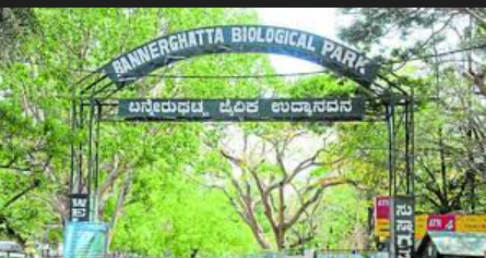 Bannerghatta Biological Park Gains from Safari Bans Elsewhere: 1 Strategic Advantage