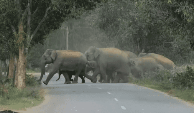 CEC: DECISIVE 1 BOLD TURNING POINT AND A FRAGILE ECOSYSTEM