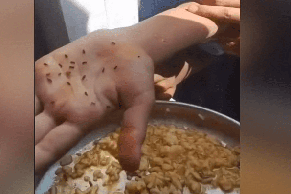 Koppal Officials Suspended After Worms Found in Meals: SHOCKING 3-SUSPENSIONS, 1 HEALTH ALERT, AND PUBLIC OUTRAGE