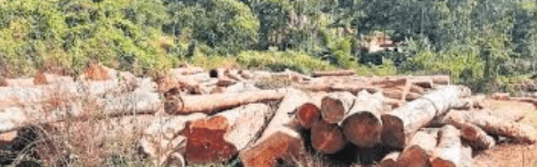 2nd FIR Lodged Against Embassy Group Over Kadugodi Forest Felling: BOLD ALERT