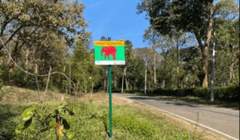 How Agumbe’s Once-Isolated Rainforest Found a Digital Lifeline: 1 Bold Signal