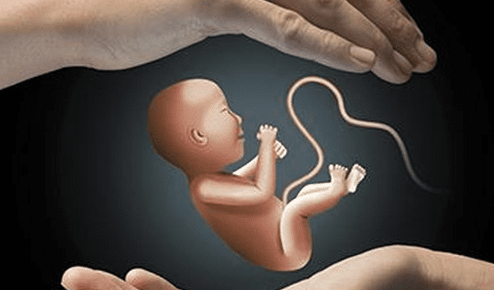 Crime Exposes Vulnerable Infant: Shocking 5-Layer Tragedy