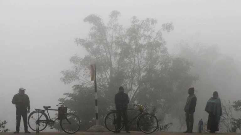 IMD Cold Wave Warning: Urgent Alert for North and Central India