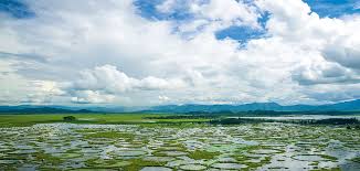 Loktak Lake in Manipur Reveals a Living World That Floats With Time in 2026