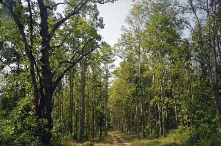 Madhyamik Examination Safety 2026 – Forest Area Commute Arrangements, Student Welfare, and Governance Lessons in Inclusive Education