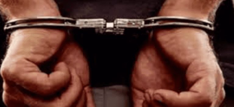 STF: Dramatic 4-State Hunt Ends in Tense Capture