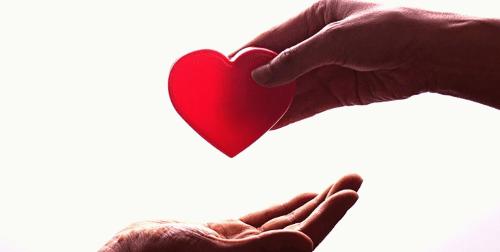 Karnataka’s Quiet Organ Transplant Revolution for the Poor: Lifeline 500 Hopeful Lives