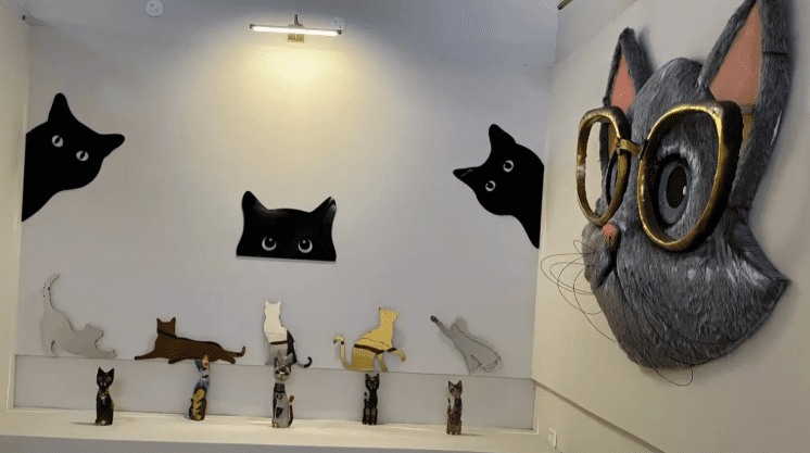 City’s Love for Cats Comes Alive in Mysuru’s 1 Museum City’s Love for Cats Comes Alive in Mysuru’s 1 Museum