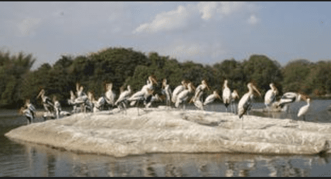 Madikeri Bans Public Defecation and Urination: 1 Order and a City’s Fight for Dignity Madikeri Bans Public Defecation and Urination: 1 Order and a City’s Fight for Dignity