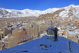 Ladakh Snowy Slopes Witness a Rare Moment of Coexistence in 1 Powerful Scene