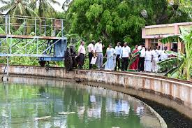 TWAD to Divert Water for Tiruchendur Signals Relief for Temple Town